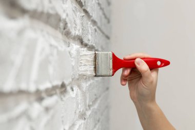 Bayanlar el boyalı fırça beyaz duvara. Yenileme çalışmaları. Beyaz arka plan.