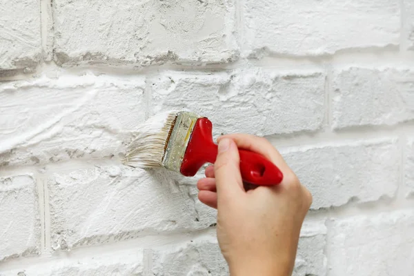 Bayanlar el boyalı fırça beyaz duvara. Yenileme çalışmaları. Beyaz arka plan.