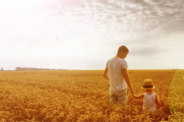Щаслива Сім Батько Син Дивляться Сонце Пшеничному Полі Зворотній Перегляд — стокове фото