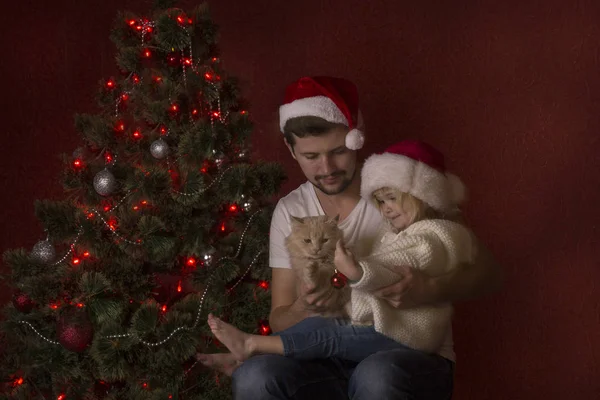 Felices Fiestas Padre Hija Jugando Con Gato Cerca Del Árbol — Foto de Stock