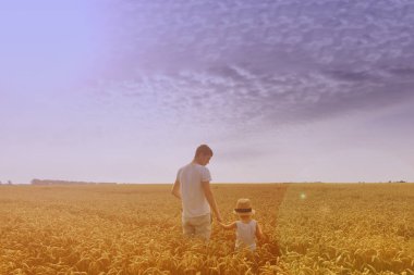 Mutlu bir aile. Baba ve oğul buğday alan güneşte bakarak. Backview. 