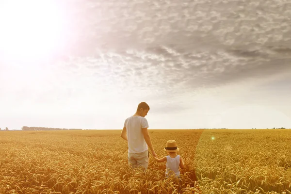 Щаслива Сім Батько Син Дивляться Сонце Пшеничному Полі Зворотній Перегляд — стокове фото