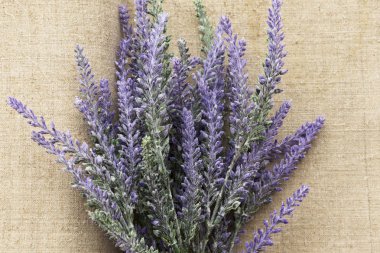 Lavanta çiçek şeritli şerit yay mor ahşap arka plan ile. Çevre pease doğal tuval.