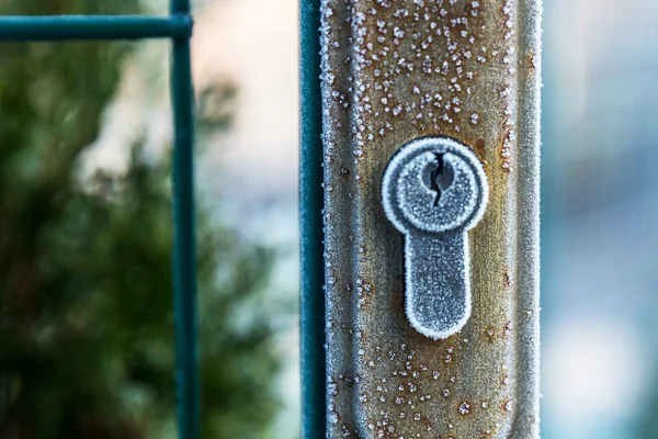 Gate with a lock covered with the first frost.