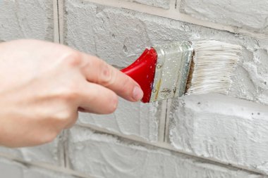 Bayanlar el boyalı fırça beyaz duvara. Yenileme çalışmaları. Beyaz arka plan.