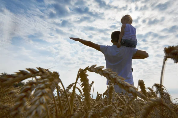 Mutlu bir aile. Baba ve oğul buğday alanında. Adam holding çocuk omuz. Güneşe bakar. Arkadan görünüm.