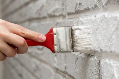 Bayanlar el boyalı fırça beyaz duvara. Yenileme çalışmaları. Beyaz arka plan.