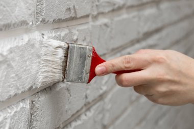 Bayanlar el boyalı fırça beyaz duvara. Yenileme çalışmaları. Beyaz arka plan.