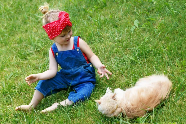 Menina Brincando Com Gato Vermelho Dia Ensolarado Espaço Cópia — Fotografia de Stock