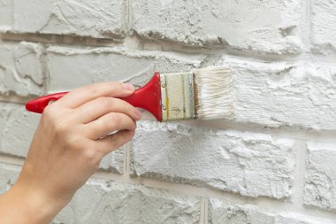 Bayanlar el boyalı fırça beyaz duvara. Yenileme çalışmaları. Beyaz arka plan.