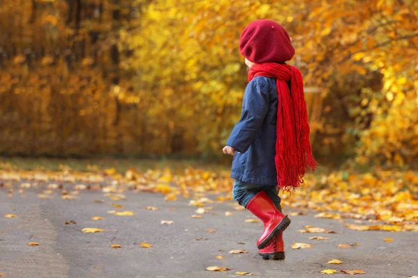 Mutlu Sonbahar Küçük Kız Güler Galoş Sonbahar Parkın Içinden Çalışır — Stok fotoğraf