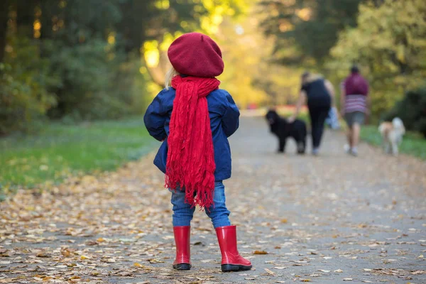 Petite Fille Regarde Les Gens Marcher Avec Des Chiens — Photo