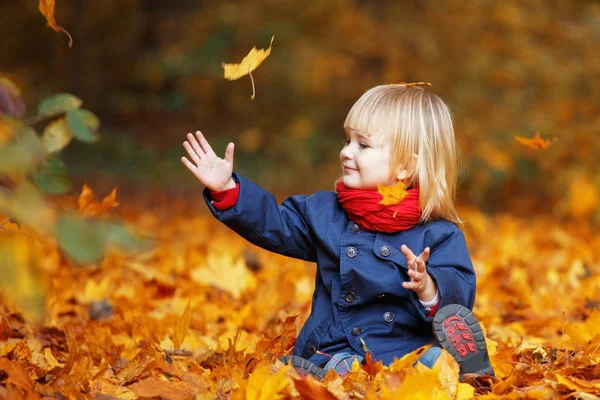 Mutlu Sonbahar Küçük Tatlı Kız Ile Oynarken Bir Sonbahar Parkında — Stok fotoğraf