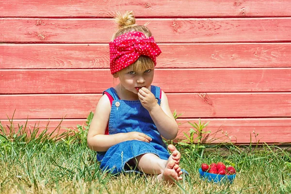 Niña Está Comiendo Fresas Dulces Día Soleado Copiar Espacio —  Fotos de Stock