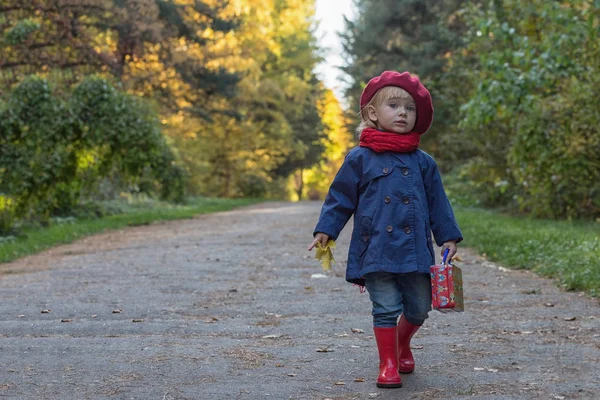 Щаслива Осінь Маленька Дівчинка Червоному Береті Ходить Осінньому Парку Копіювати — стокове фото