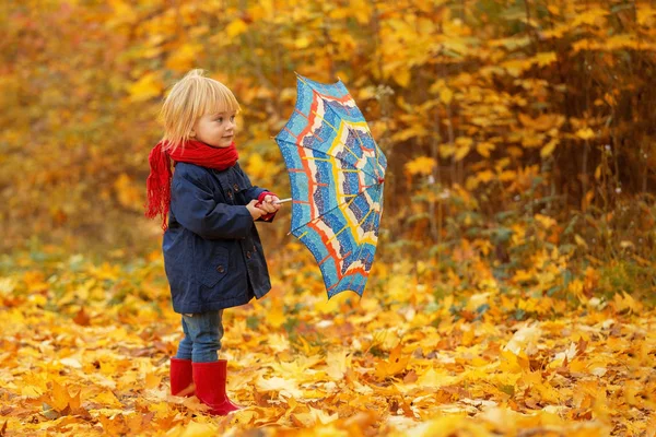 Fată Umbrelă Colorată Plimbă Jurul Unui Parc Toamnă — Fotografie, imagine de stoc