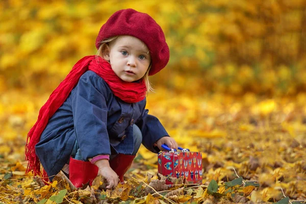 Fetiţa Îmbrăcată Haine Calde Joacă Parcul Toamnă Uită Privitor — Fotografie, imagine de stoc
