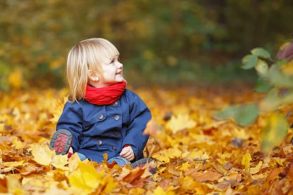 Feliz Outono Menina Doce Brincando Com Folhas Parque Outono Espaço — Fotografia de Stock