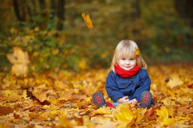 Sonbahar parkta oturan küçük sonbahar komik kız. Seçici odak, kopya alanı.