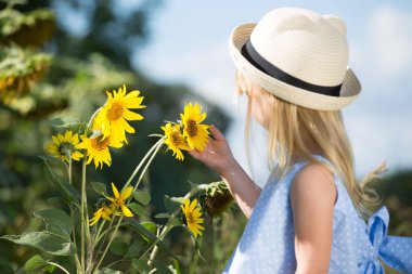 Ayçiçeği ile küçük kız. Kopya alanı, seçici odak.