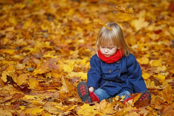 Pequena Menina Engraçada Outono Sentado Parque Outono Foco Seletivo Espaço — Fotografia de Stock