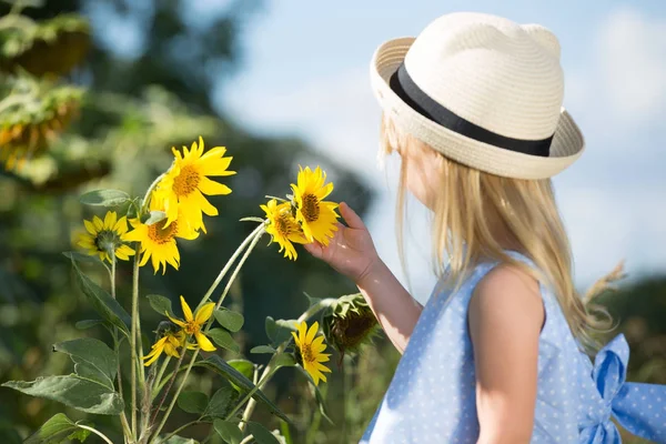 Ayçiçeği ile küçük kız. Kopya alanı, seçici odak.
