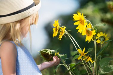 Ayçiçeği ile küçük kız. Kopya alanı, seçici odak.
