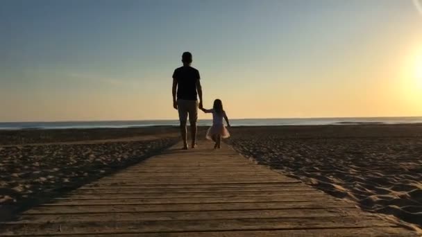Father and daughter walking on the beach. — Stock Video