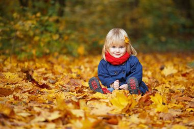 Sonbahar parkta oturan küçük sonbahar komik kız. Seçici odak, kopya alanı.