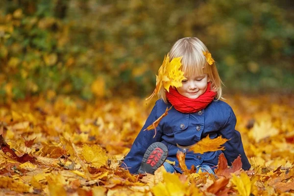 Маленька Осінь Смішна Дівчинка Сидить Осінньому Парку Вибірковий Фокус Простір — стокове фото
