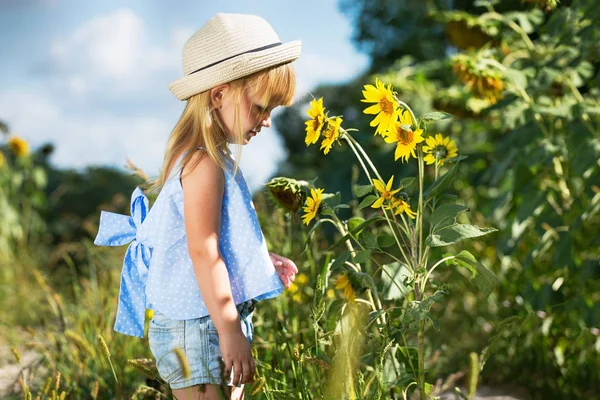 Petite Fille Sentant Tournesol — Photo