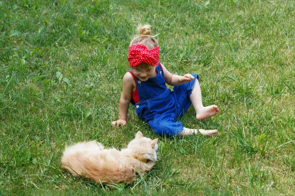 晴れた日に赤猫と遊ぶ少女 コピー スペース — ストック写真