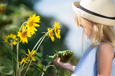 Ayçiçeği ile küçük kız. Kopya alanı, seçici odak.