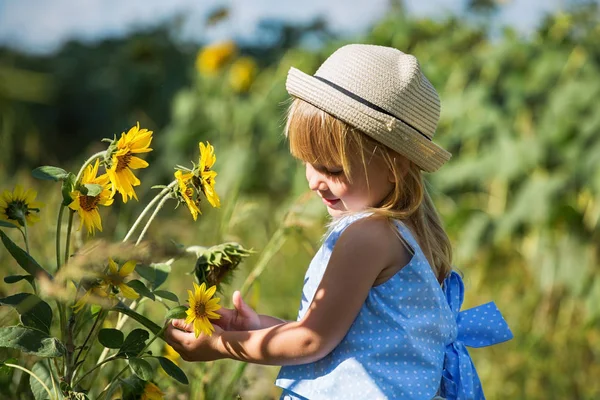 Petite fille sentant les fleurs de tournesol . — Photo