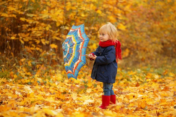 Uma menina com um guarda-chuva colorido está andando em torno de um parque de outono — Fotografia de Stock