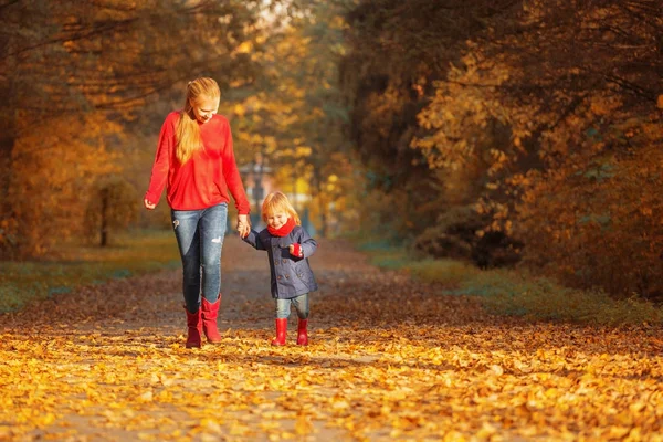 Mama i córka chodzą po jesiennym parku o zachodzie słońca. — Zdjęcie stockowe