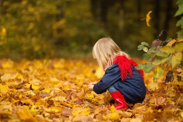 A menina senta-se de lado e brinca com as folhas no a — Fotografia de Stock
