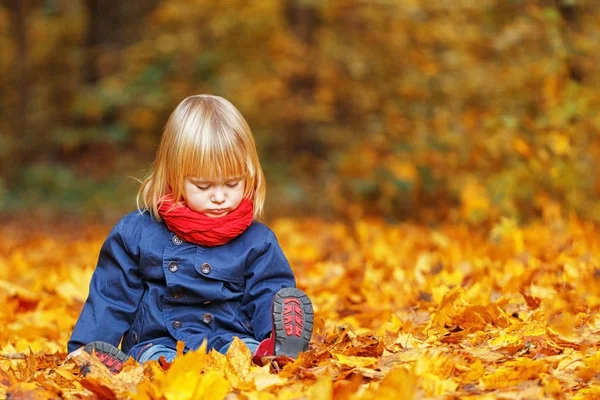 Petite fille assise dans un parc d'automne. Elle regarde le spectateur . — Photo