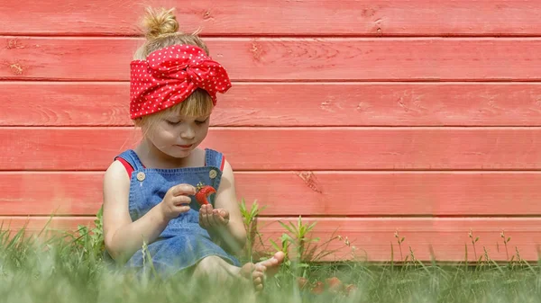 Fetița mănâncă căpșuni dulci într-o zi însorită . — Fotografie, imagine de stoc