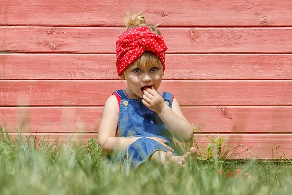 La niña de Dungarees está comiendo fresas en el jardín. S —  Fotos de Stock