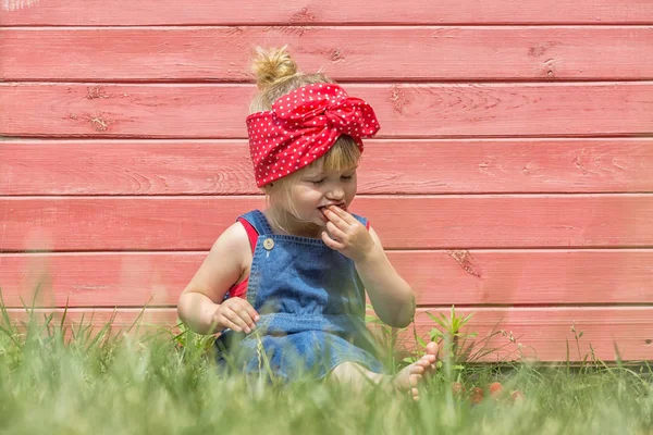 Petite fille mange des fraises douces par une journée ensoleillée . — Photo