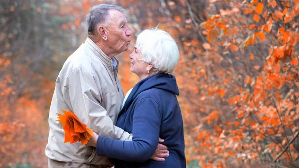 Yaşlı adam kadının alnından öper. — Stok fotoğraf