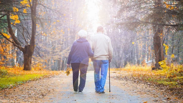 Dos personas mayores caminando en un parque de otoño. — Foto de Stock