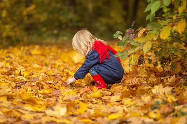 La petite fille s'assoit sur le côté et joue avec les feuilles dans le a — Photo