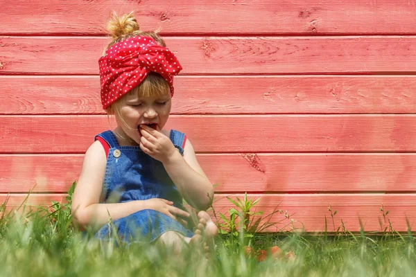 La niña de Dungarees está comiendo fresas en el jardín. S —  Fotos de Stock