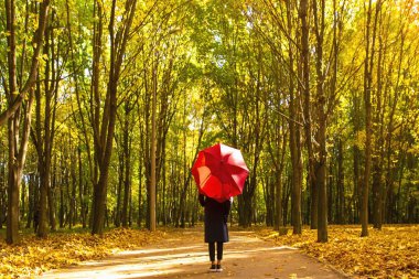 Sonbahar parkında yürüyorum