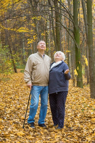 一对快乐的老夫妇在秋天的公园里散步 — 图库照片