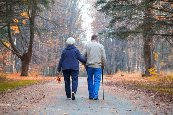 Senior couple walking in an autumn park.