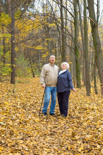 Feliz pareja de ancianos caminando en un parque de otoño — Foto de Stock