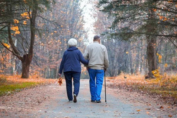 Cuplu în vârstă care se plimbă într-un parc de toamnă . Imagini stoc fără drepturi de autor